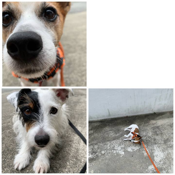 635fd05e c920 4eb0 8d44 f372765ce674 1600561459119