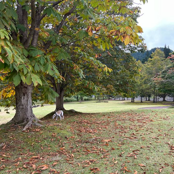 635fd5fc 349e 4e28 9e0f 7a341da719ed 1760343755425