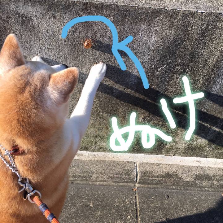 6360175f 4a85 4d55 a615 e0ef4defc8a4 1531952771058