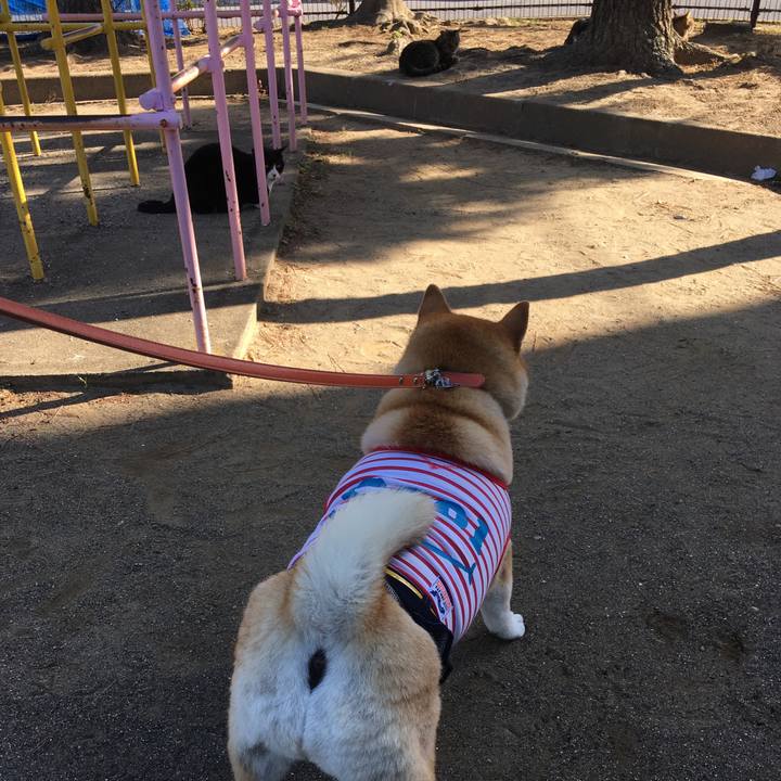 63602e69 7277 4cf9 b188 059515246229 1613305652084