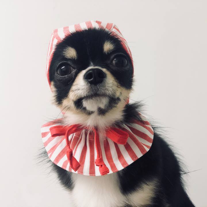 63607555 f08b 45b9 a70f 51888e97d0db 1553554334249