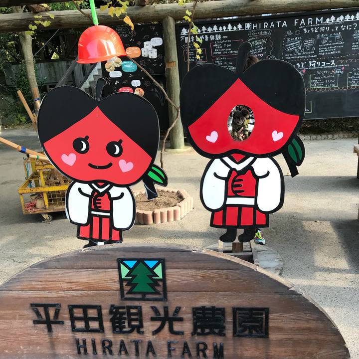 6360c9e4 86ec 4001 a480 13dc2171461d 1509779787505