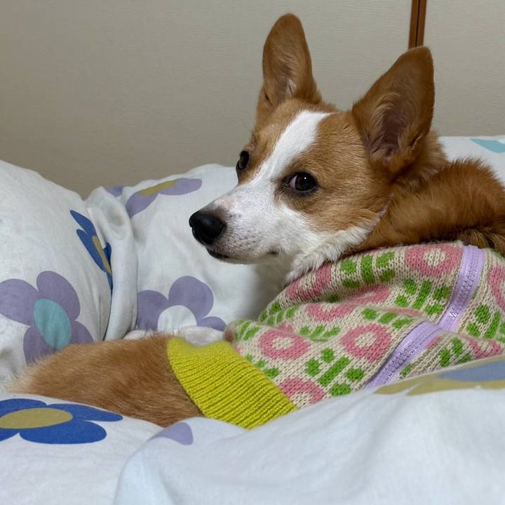 6360db76 1523 46e3 a0d5 7761db5d165b 1769993749728