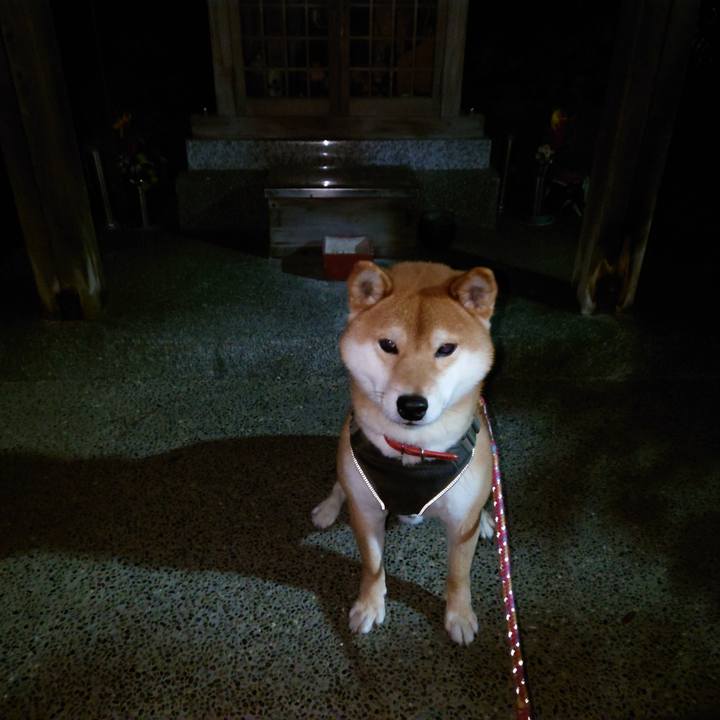 6360e70a cf3f 4251 a35e 236ba77ab36f 1768779834489