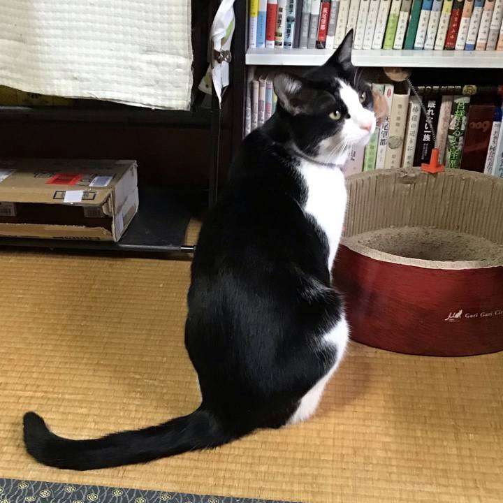 63610231 e1ef 41d5 9b59 56f8a6b19f39 1645320948444