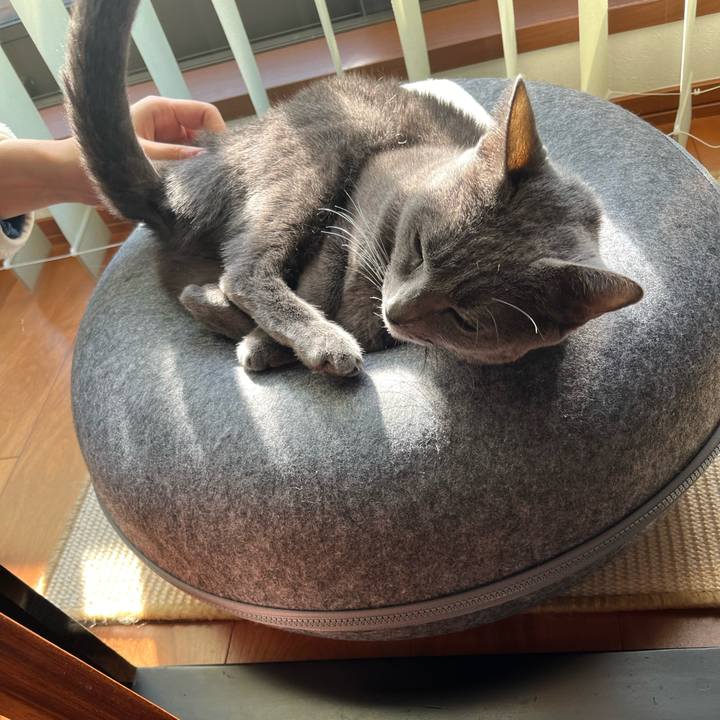 6361449a fe34 4139 8e84 74ccb56a226e 1706403708963