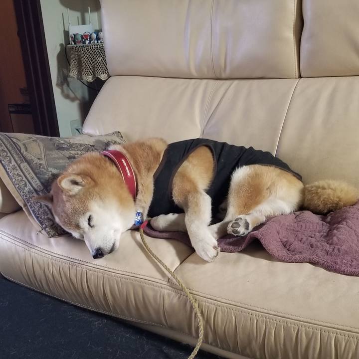 6361587f 8766 407b 8d34 0be69f87d251 1730887456730