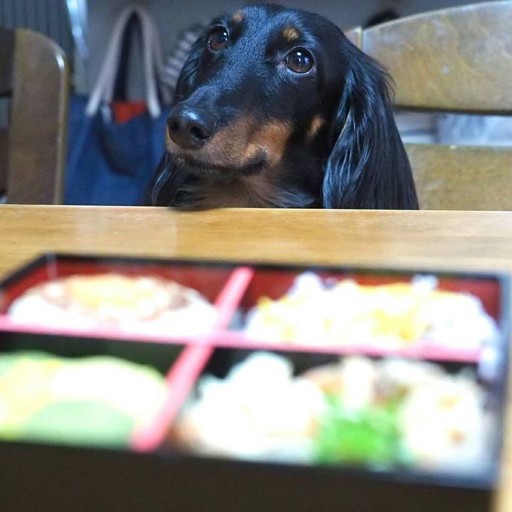 6361dcb2 20d2 4c3b 8e3c 7b079ef7d61f 1514793568483