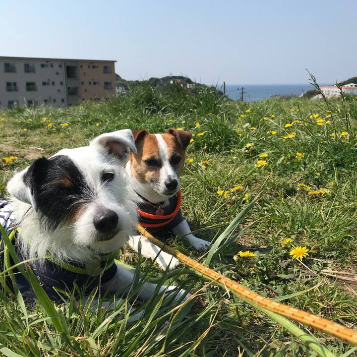 6361eb93 a9e1 445d 82b4 1fef85312dac 1524187068579