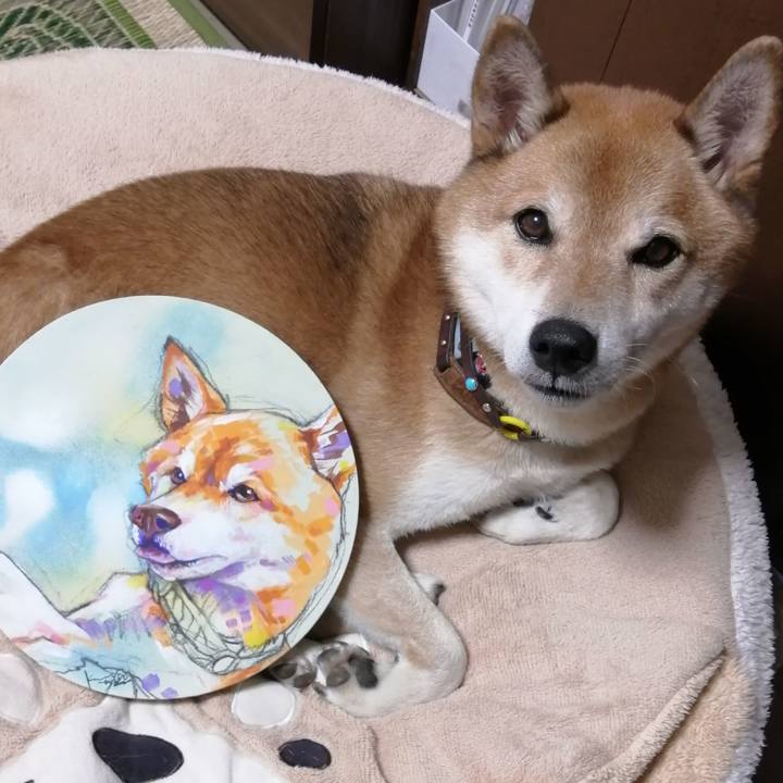 6362197d 224b 42a0 bb7b 9df9943373a8 1665882421307