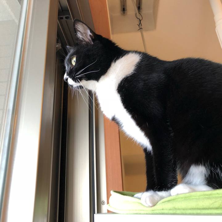 636241ad d73f 40d7 ade2 92e054cd33e3 1510610153323