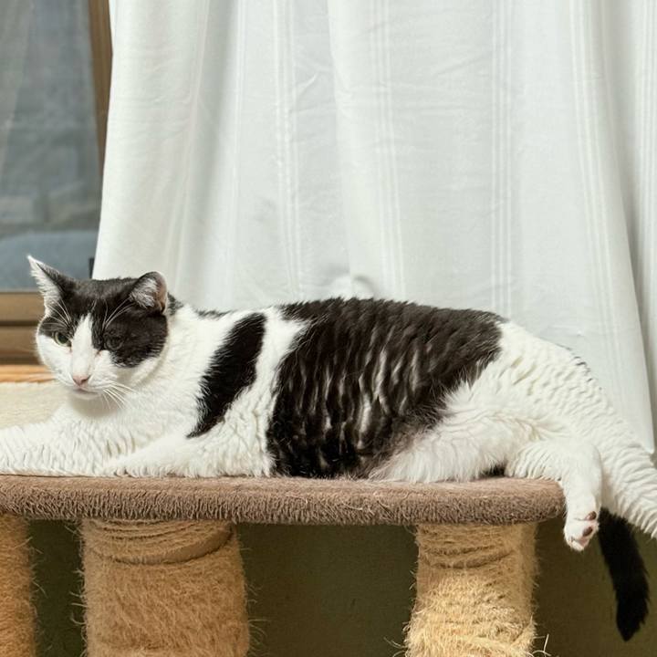 636298fa dca4 489e bc75 5b5b8435bf8d 1752026105702