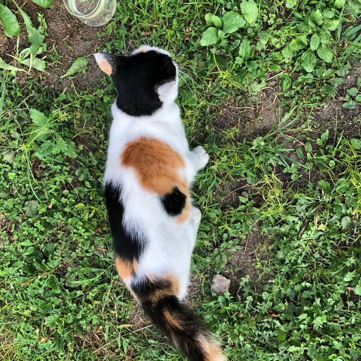 63629f2e 5efe 4813 b1b0 da656eca66c3 1598219962985