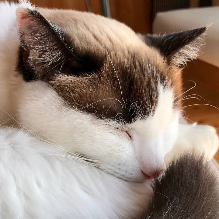 6362b1b0 4d41 4006 a2b7 c1f9c3954cc4 1582439601925