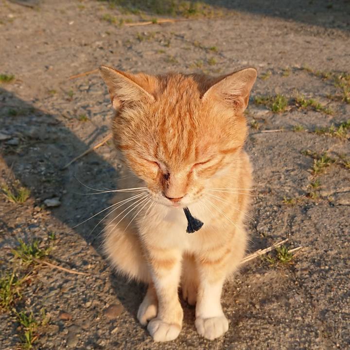 6362ca2b 3cc1 4a2e 948e 7f5208abaf8b 1558902969006