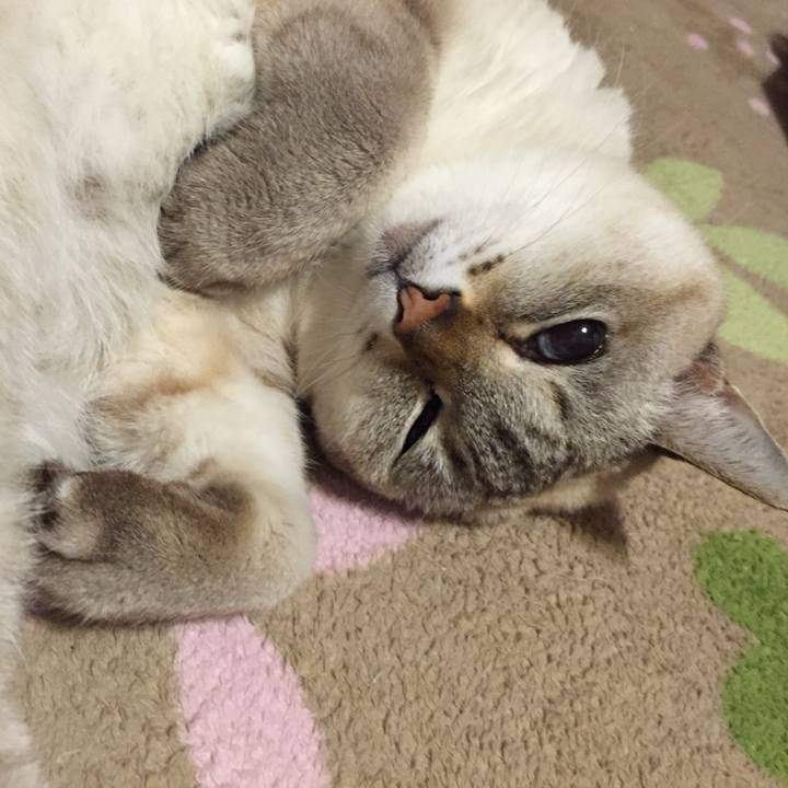 6362f012 d879 4900 b2c0 a55a25236f11 1543221143028