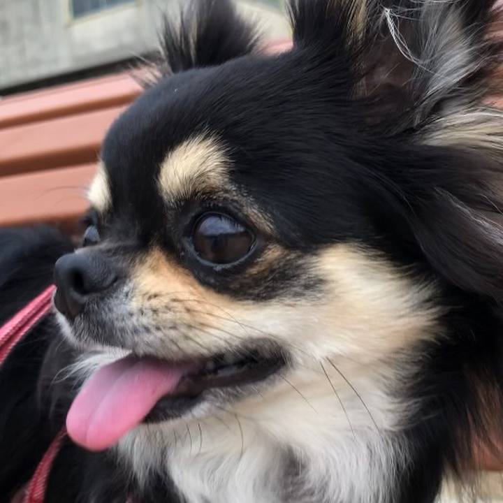 6362fceb 4ca9 40a4 aad0 e63dbdb695ac 1594249999486