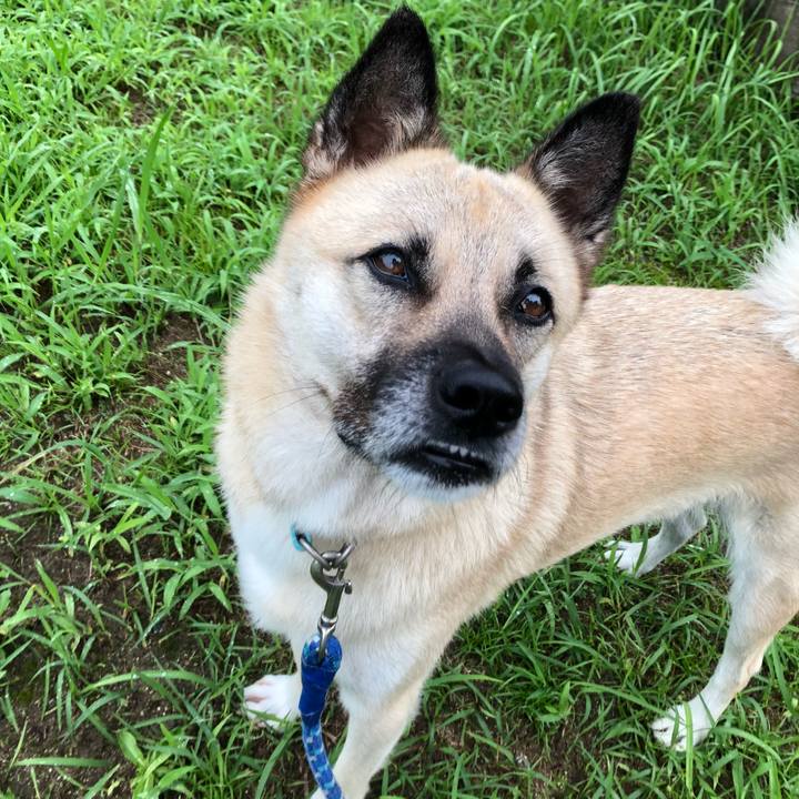 6363025c 06de 470a b823 35e66b1cfda6 1567430982817