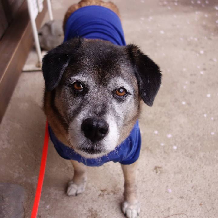 6363038e b5cd 4551 9e6b a05e20c36839 1664326561731