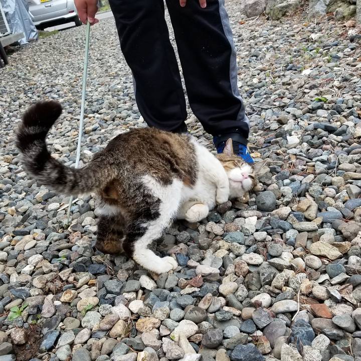 63631549 a1fb 4122 a8a8 e423fcafe05a 1589719350947