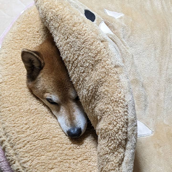 63632877 b153 4248 8f41 23f099815ee0 1701182755583