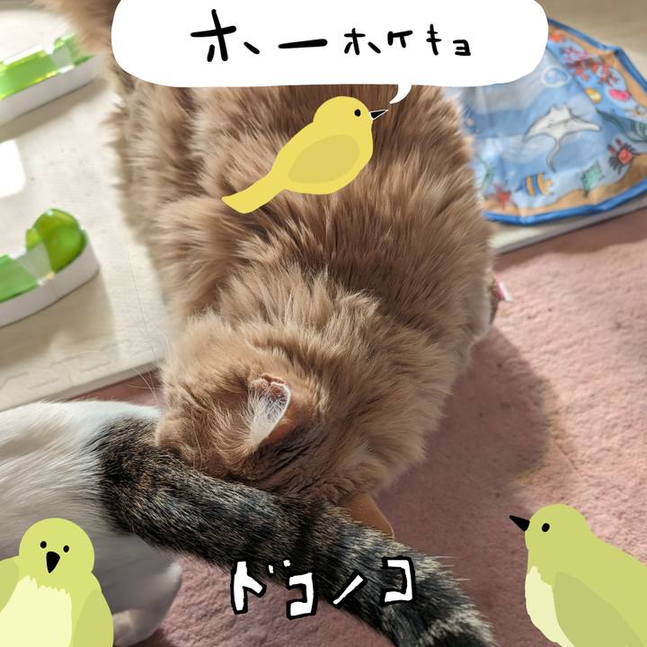 636328ca 6fff 4ab2 925f 57d3d94a2c17 1711085604182