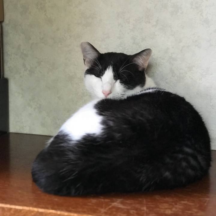 636357d7 0249 4a89 befd d0021e6cd9d8 1536626293357