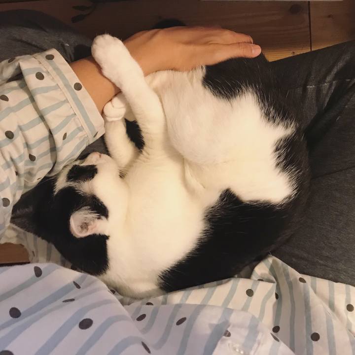 636369b3 f4d8 4989 a256 1207ff051f5d 1543013754077