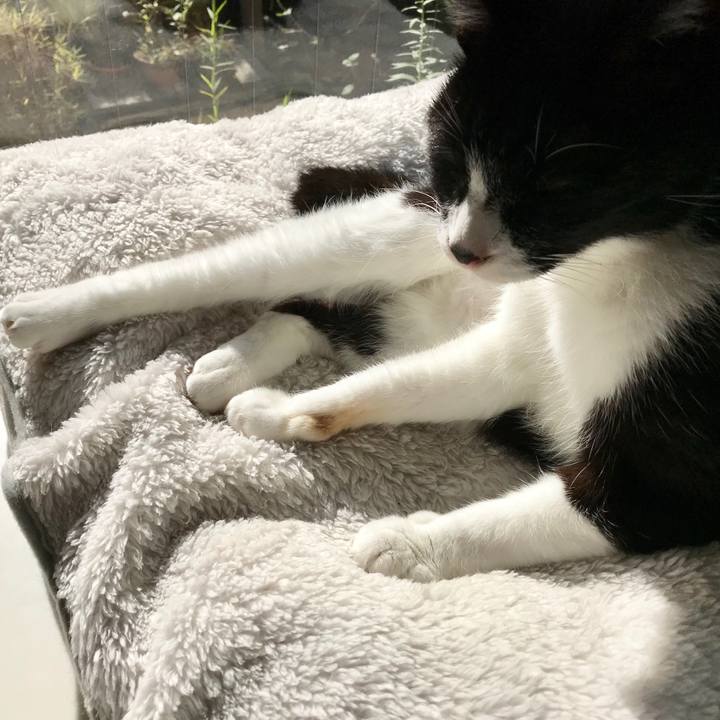 6363714b 6b75 4d77 9d9f 82306e47a1c9 1511928130800