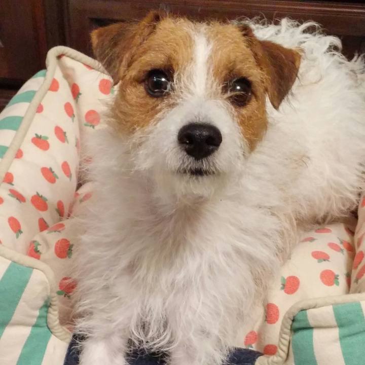 6363b96c 4e21 4a81 811a d018d2a0efd9 1538142921533