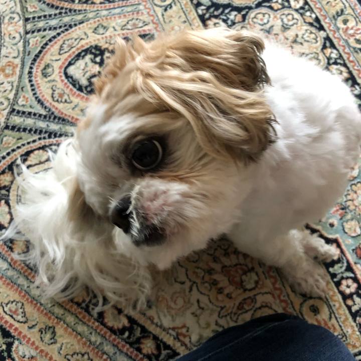 6363bb5e aa79 45ac b703 2b17e4bbdbbf 1560807899286