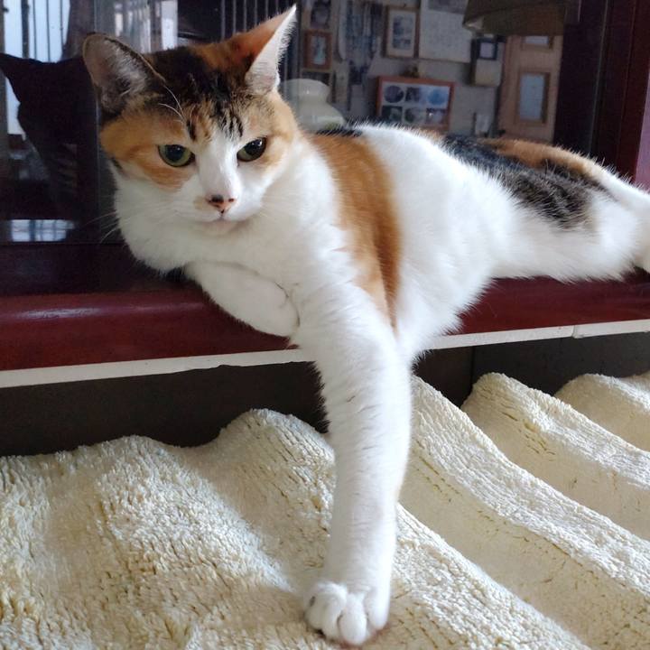 6363c51b 9e6b 4e9d a742 037acb4a9608 1675950854504