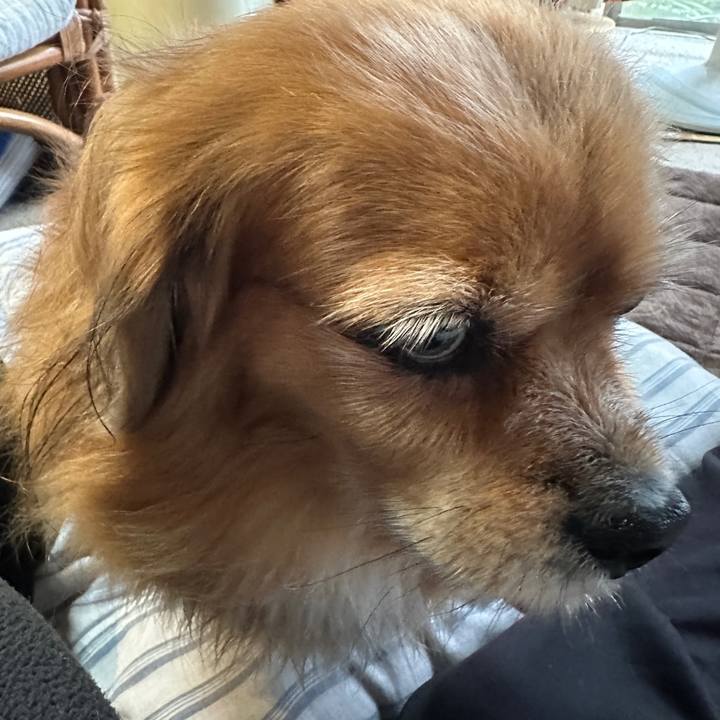 6363d5e8 e31c 46f2 a4cb f1482eff5ecd 1761433552091