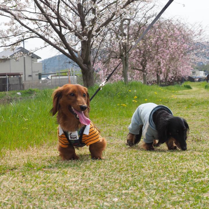 6363f88b 46c3 4a87 9a6b a1c79f769133 1712467556127