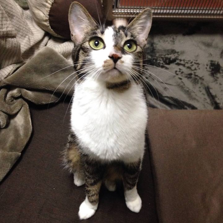 636439ce 29b7 4a91 a2e5 27b70305c8bb 1513610940622