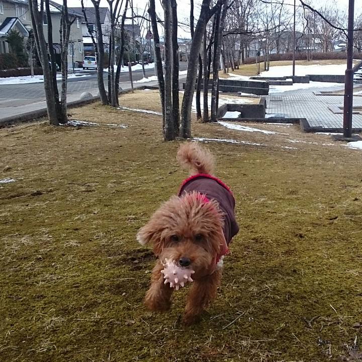 63644282 b93c 41dc 84da b6feb33cef2f 1519177314982