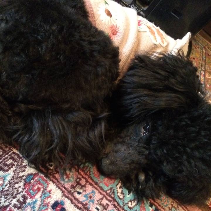 63647bf3 69b8 49b9 a696 994c9f283e52 1513380122322