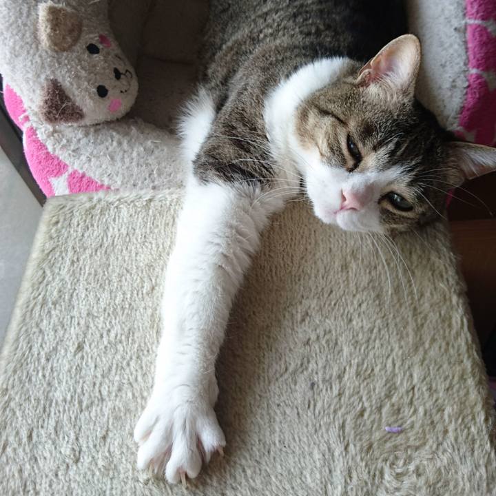 6364b52f db97 4655 bcf7 021097b6302c 1523508055937