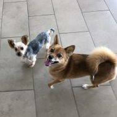 6364c60f 0483 4e80 85ce e9793a8d43bc 1567073811833