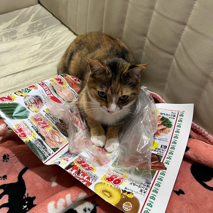 6364d38a 5881 4bb0 bbe0 f64581c5e82c 1682465904721