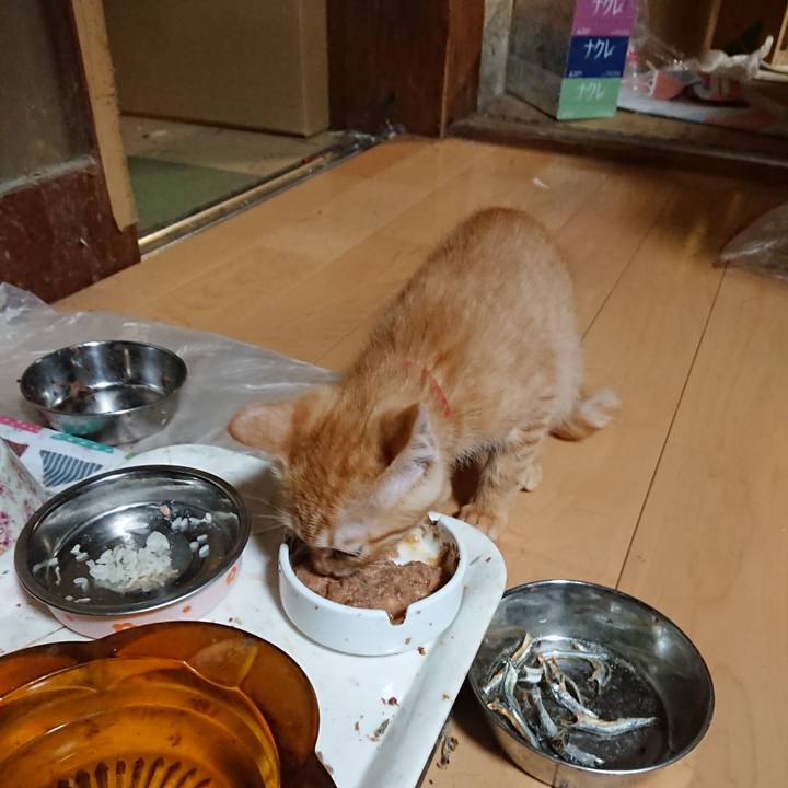 6364dd5d 1015 412e 8ab4 7e93b89487a6 1631870634126