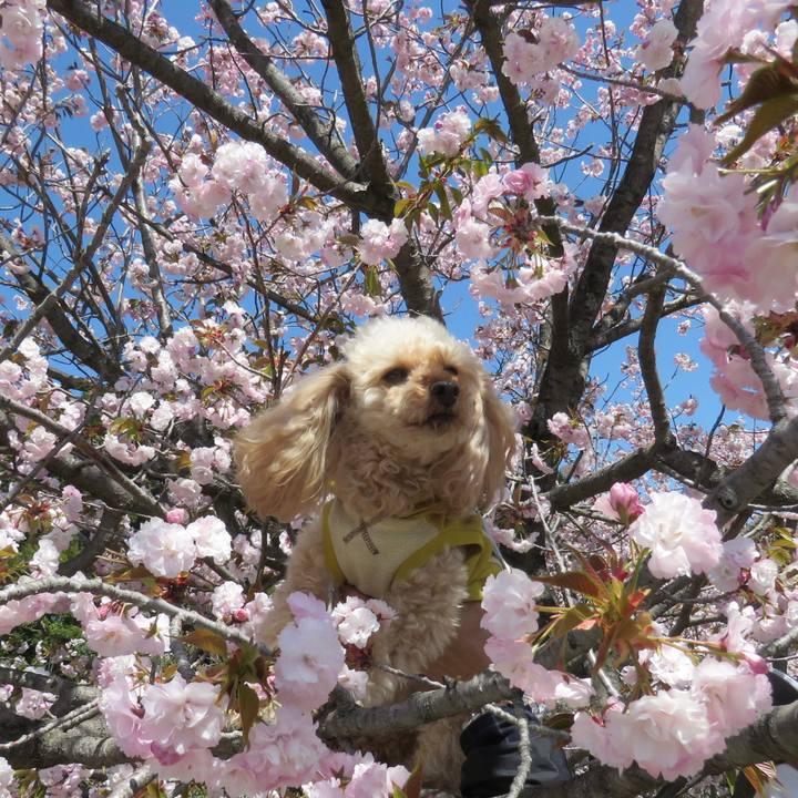 6364e7b6 ea57 4430 bbdf e785efc43209 1649066230842