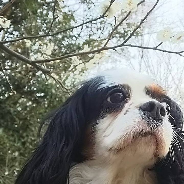 63651cc6 3a46 4d61 85ee 71d87eeab84d 1522655644447