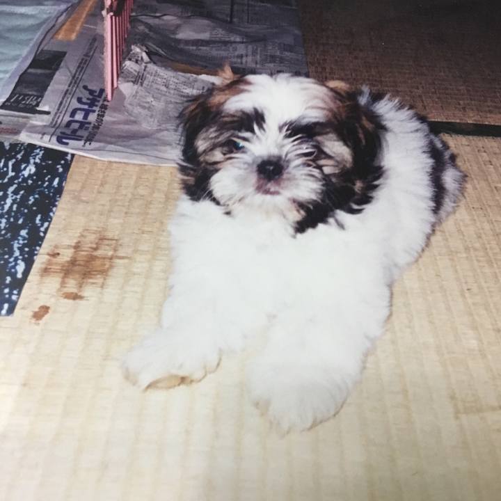 63651f93 d8be 4e24 b944 34b4aaa8c3d8 1558782924649