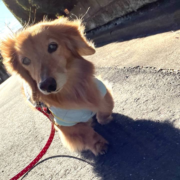 63654b0c 2152 4d51 83b6 874bc4d5026d 1676555600730