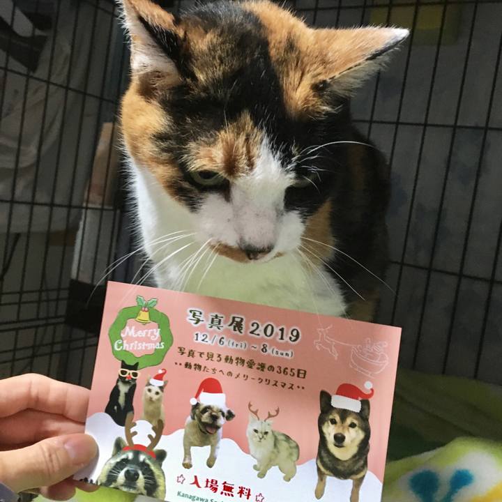 63655b20 fe60 42bd b10f ec31930e8aee 1574848461057