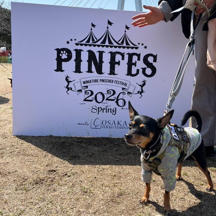 6365c4be 4c80 43b0 a525 ff7cad840b4b 1774083731490