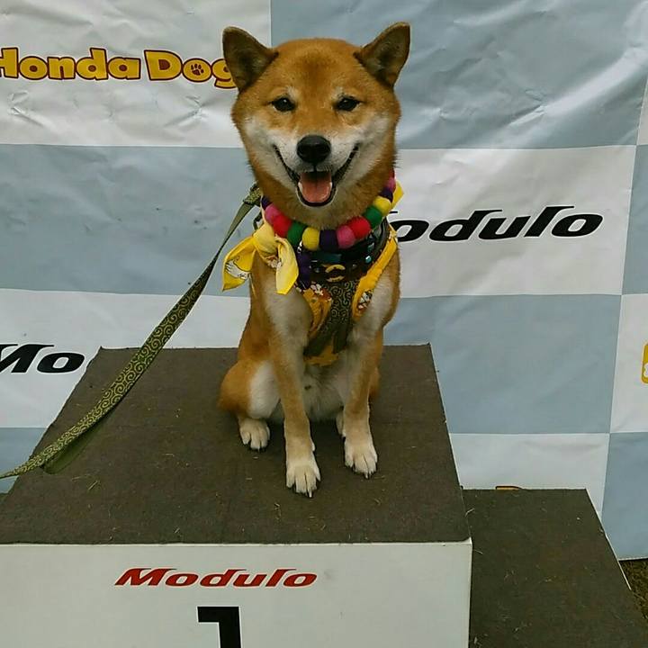 6365d6a5 dc9b 48c0 89a3 71a11bf87470 1541918118317