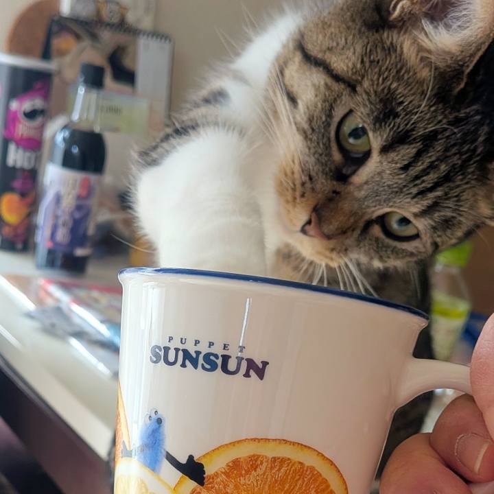 6365e8a8 6066 4ac0 b2e0 6e0d5c47d472 1768380818904