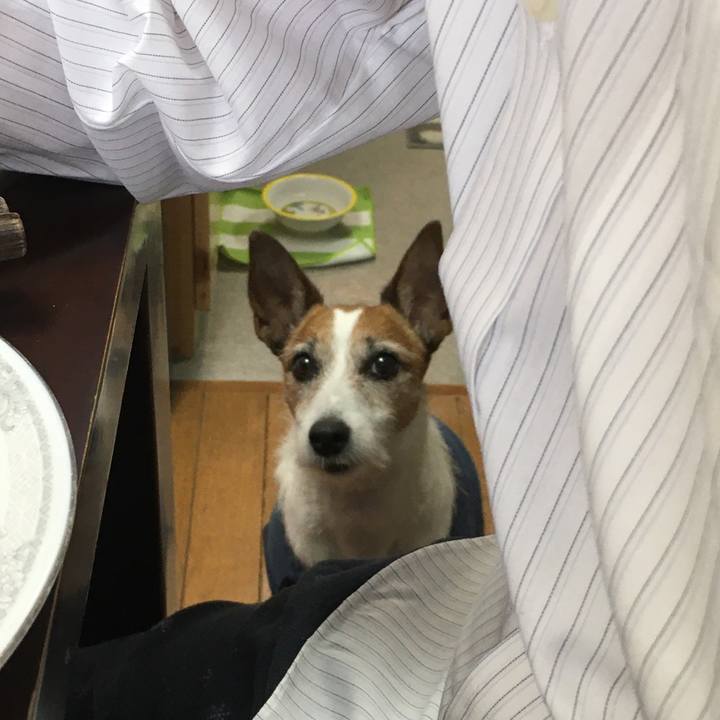 6365ec97 d7da 47a2 a654 e08ef7edb0af 1578785606612